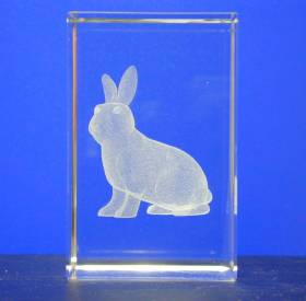 3-D-Würfel Hase - Bild vergrern